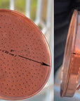 Rain Shower Head, Copper Showerhead, Large Round Showerhead, Works Outdoor - NORD BRASS