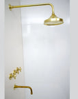 Antique Brass Shower Fixtures, Brass Shower Set with Tub filler