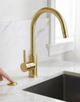Unlacquered Brass Air Switch Kit for Garbage Disposal