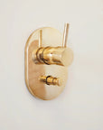 Built in Brass Shower System, Antique Brass Shower Fixtures