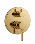 Built in Brass Shower System - Brass concealed Shower with handheld
