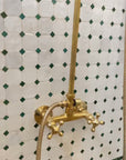 Unlacquered Solid Brass Exposed Shower System with Handheld and Curved Shower Arm